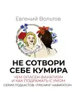 Вольтов Евгений - Не сотвори себе кумира. Чем опасен фанатизм и как подражать с умом