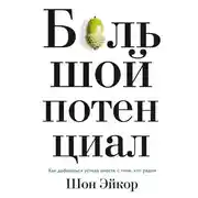 Постер книги Большой потенциал