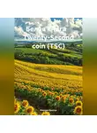 Максим Ерыгин - Белая книга Twenty-Second coin (TSC)