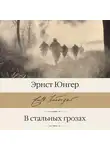 Эрнст Юнгер - В стальных грозах