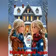 Постер книги Новогоднее чудо