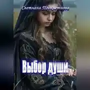 Постер книги Выбор души