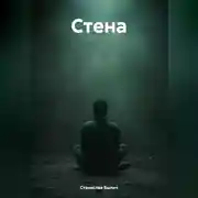 Постер книги Стена