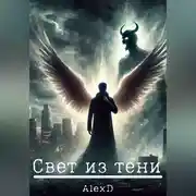 Постер книги Свет из тени