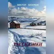 Постер книги ,, РАССКАЗИКИ ,,