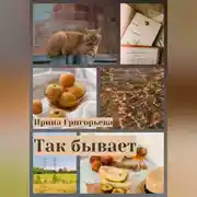 Постер книги Так бывает