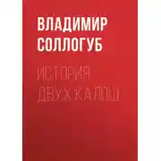 Постер книги История двух калош