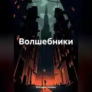 Постер книги Волшебники