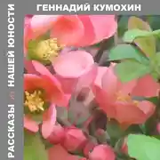 Постер книги Рассказы из нашей юности