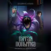 Постер книги Пятая попытка