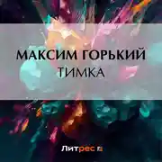 Постер книги Тимка