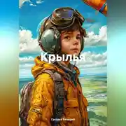 Постер книги Крылья