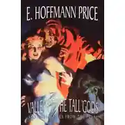 Постер книги Незнакомец из Курдистана