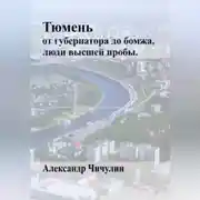 Постер книги Тюмень: от Губернатора до Бомжа