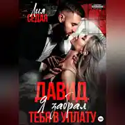 Постер книги Давид. Я забрал тебя в уплату