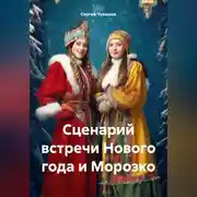 Постер книги Сценарий встречи Нового года и Морозко
