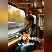 Постер книги По своим следам