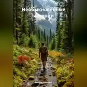 Постер книги НЕОБЫКНОВЕНЫЕ ИСТОРИИ