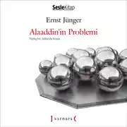 Постер книги Aklını Arayan Çocuk