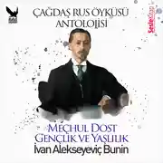 Постер книги Çağdaş Rus Öyküleri Antolojisi 6 - Gençlik ve Yaşlılık, Meçhul Dost