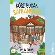 Постер книги Köşe Bucak Safranbolu