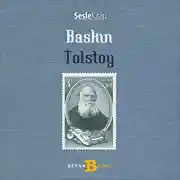 Постер книги Baskın