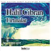 Постер книги Fırtınalar