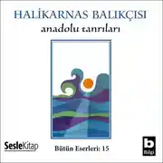 Постер книги Anadolu Tanrıları