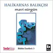 Постер книги Mavi Sürgün