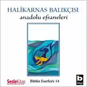 Постер книги Anadolu Efsaneleri