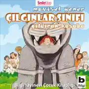 Постер книги Çılgınlar Sınıfı 2 – Çıldıran Kasaba