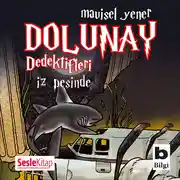 Постер книги Dolunay Dedektifleri 1 – İz peşinde