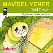 Постер книги Tırtıl Teyze
