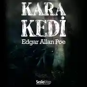 Постер книги Kara Kedi