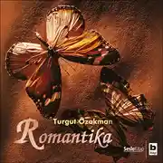 Постер книги Romantika