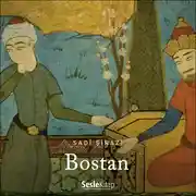 Постер книги Bostan