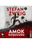 Stefan Zweig - Amok Koşucusu