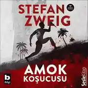 Постер книги Amok Koşucusu