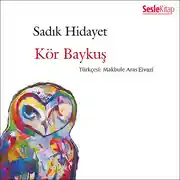 Постер книги Kör Baykuş