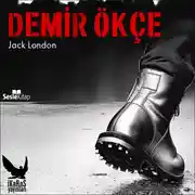 Постер книги Demir Ökçe