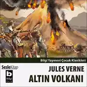 Постер книги Altın Volkanı