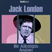 Постер книги Bir Alkoliğin Anıları