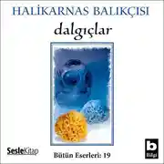 Постер книги Dalgıçlar