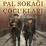 Постер книги Pal Sokağı Çocukları