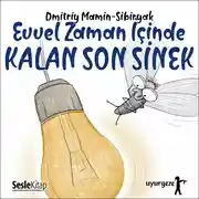 Постер книги İyi Uykular 5 - Evvel Zaman İçinde Kalan Son Sinek