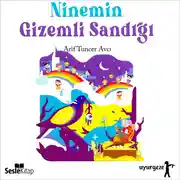 Постер книги Ninemin Gizemli Sandığı