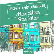 Постер книги Hayattan Sayfalar