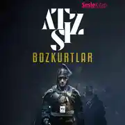Постер книги Bozkurtlar