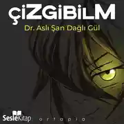 Постер книги Çizgibilm
