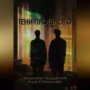 Постер книги Тени прошлого